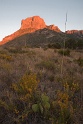 27_Big Bend National Park_16